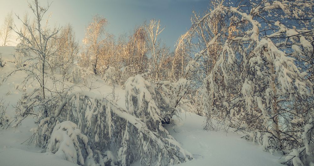 Жила зима в избушке...
