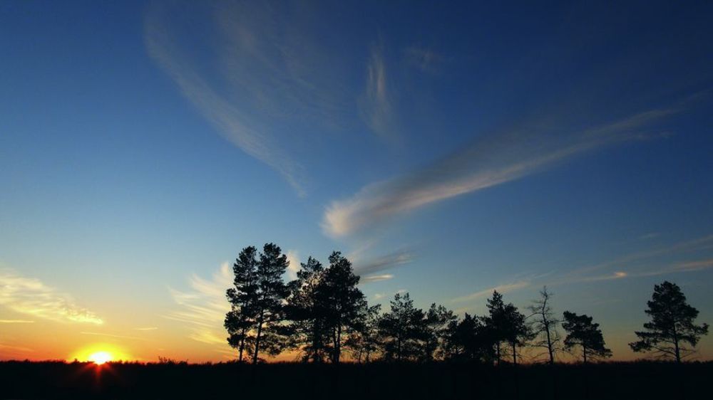 Photo 296825