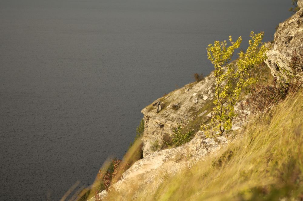 Photo 296908