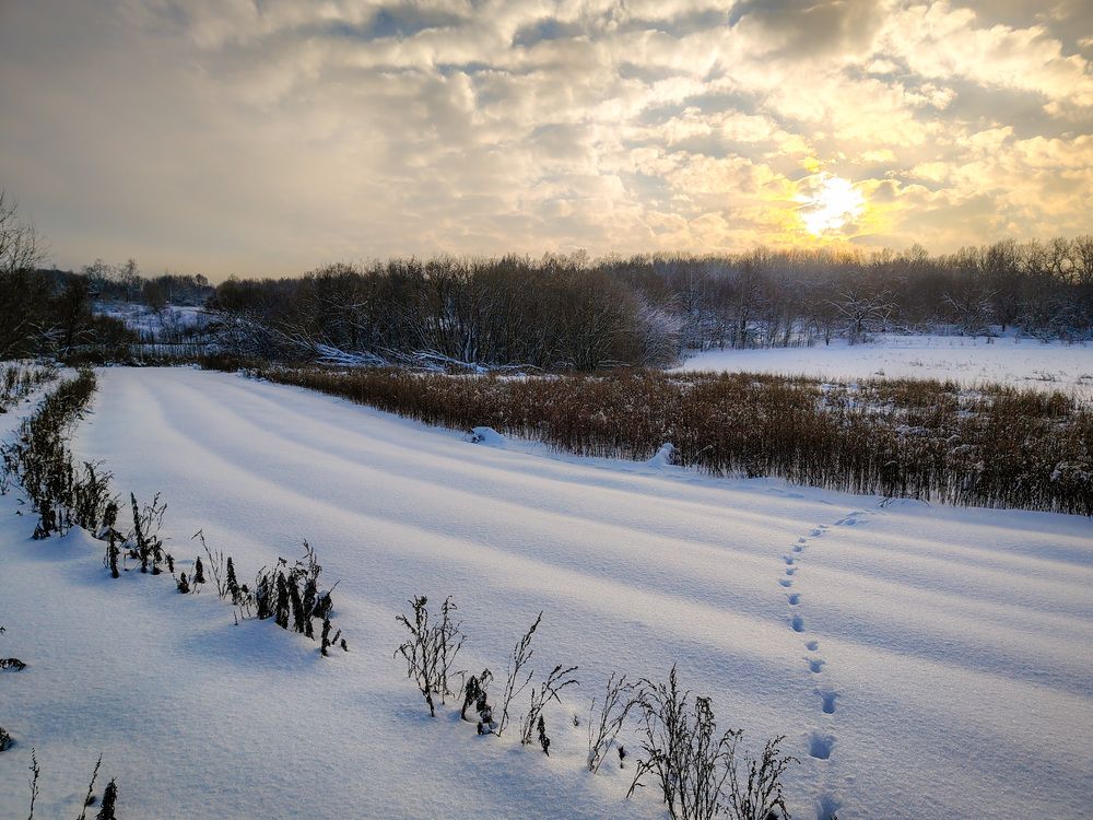Photo 2961764