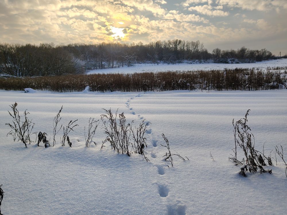 Photo 2961765