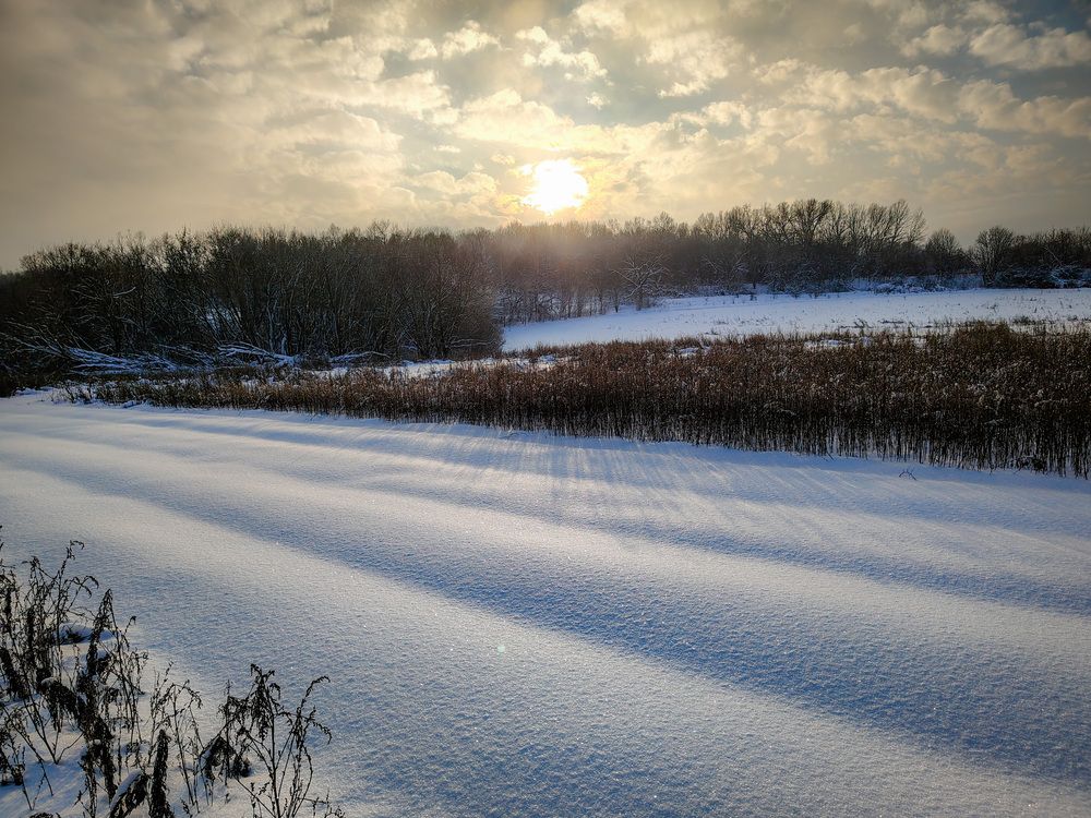 Photo 2961766