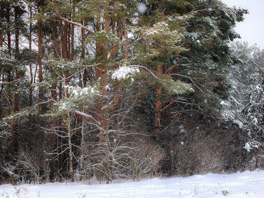Photo 2962656