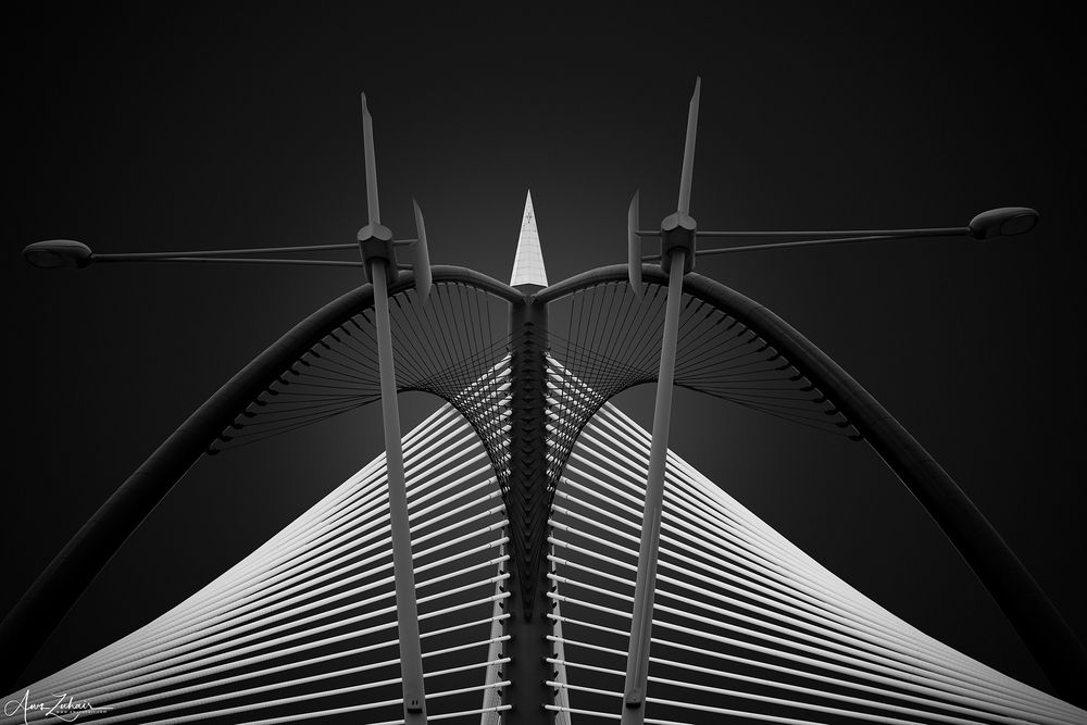 Seri Wawasan Bridge