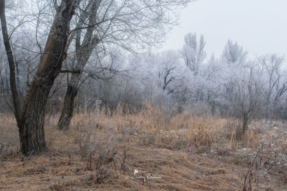 Королевство серебряного инея, затерянное в морозной дымке утра...