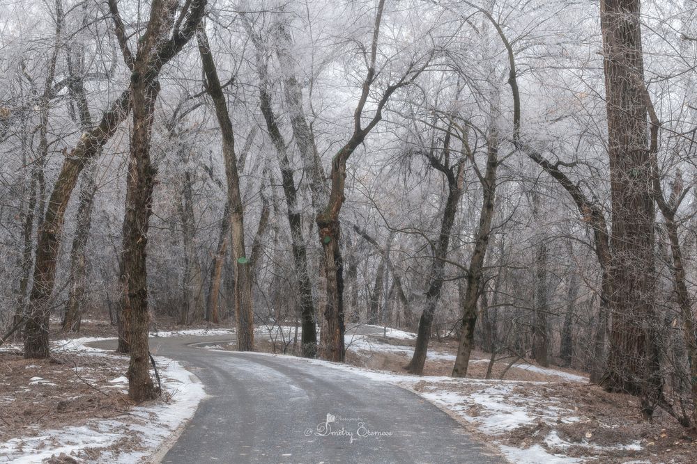 Королевство серебряного инея, затерянное в морозной дымке утра...