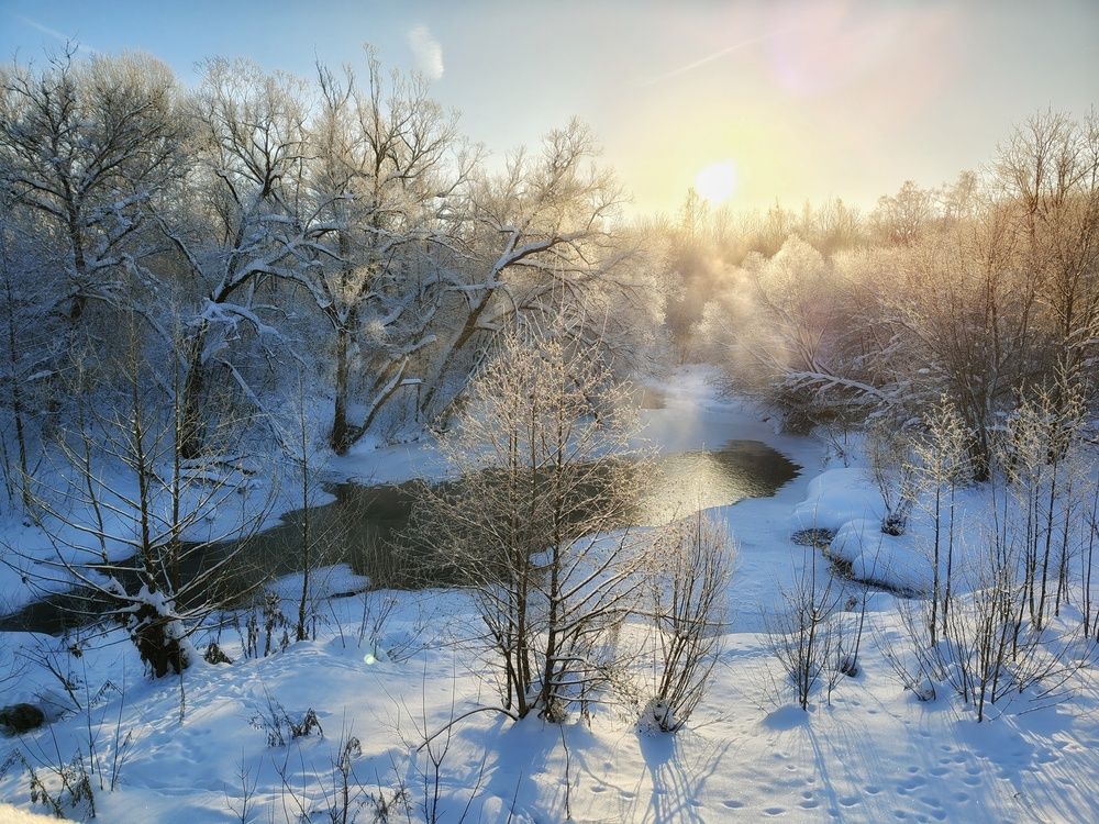 Photo 2964472