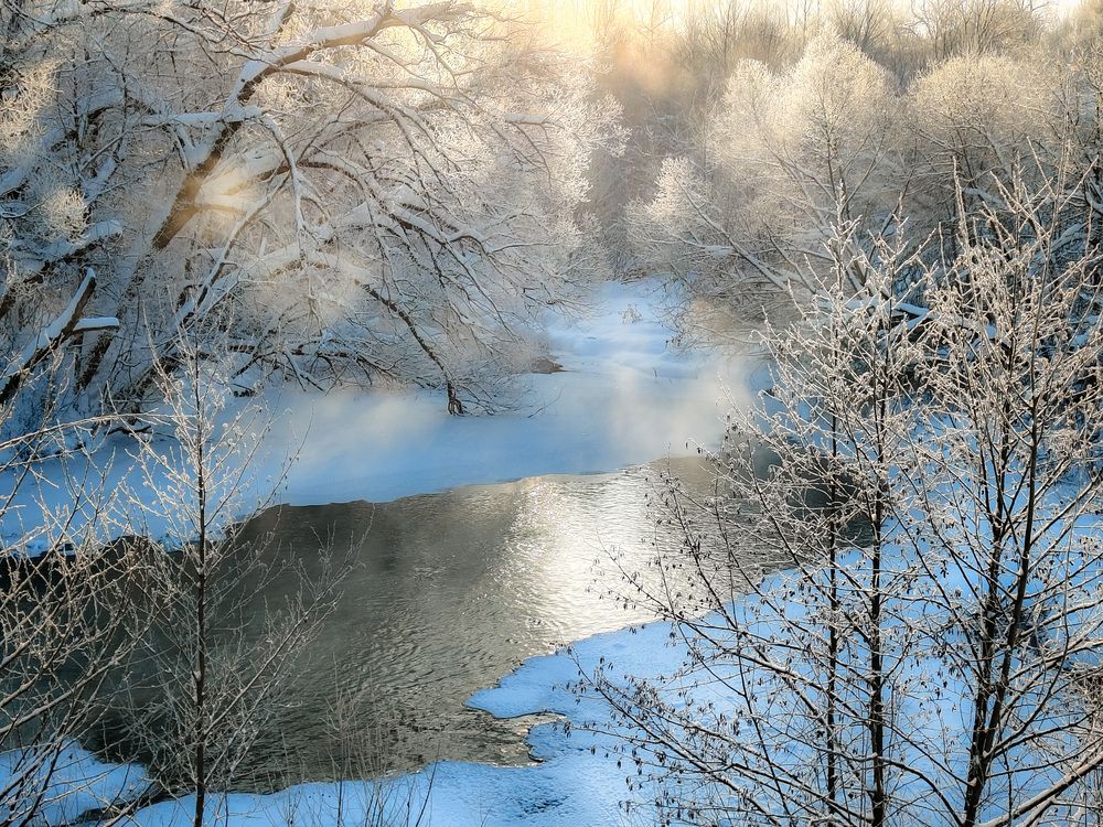 Photo 2964475