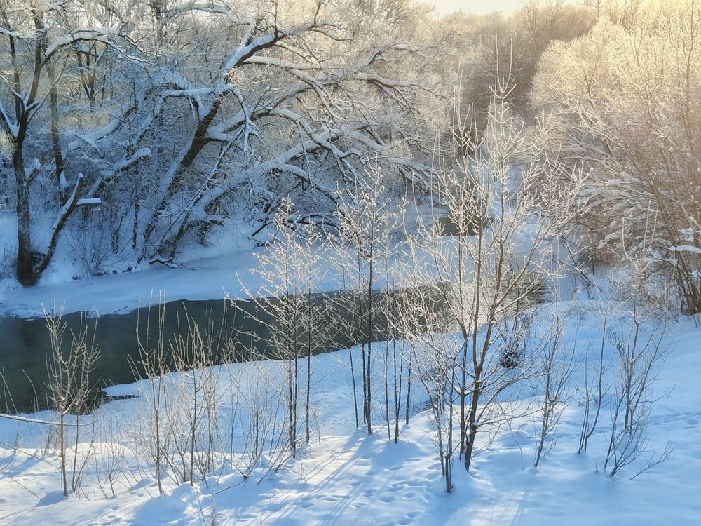 Photo 2964477