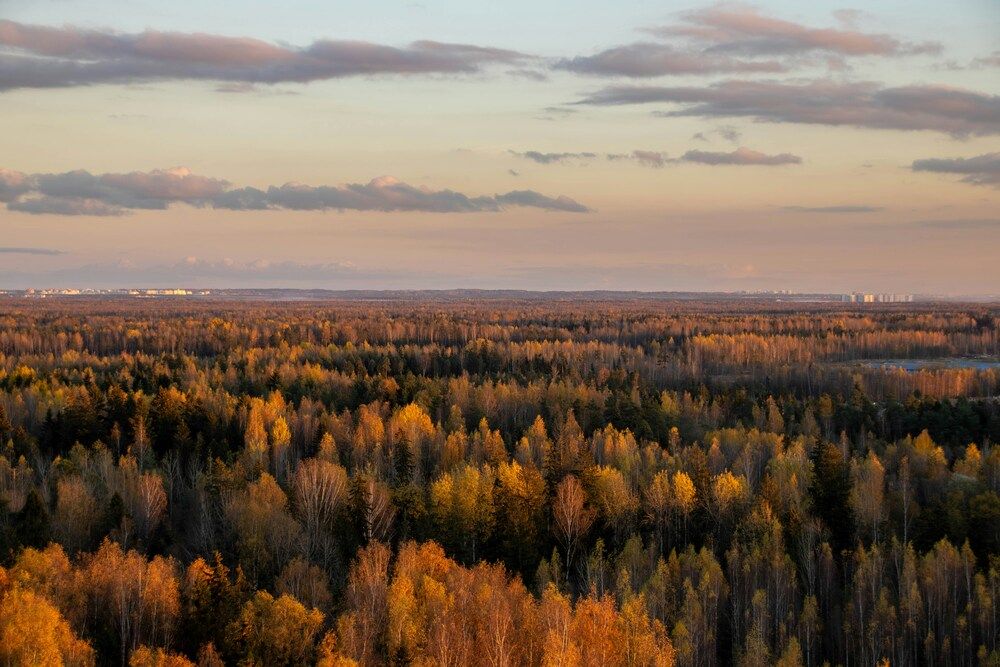 Пейзажи