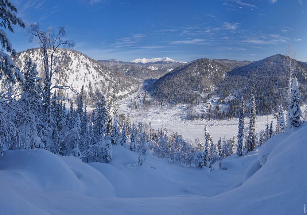 Лужба