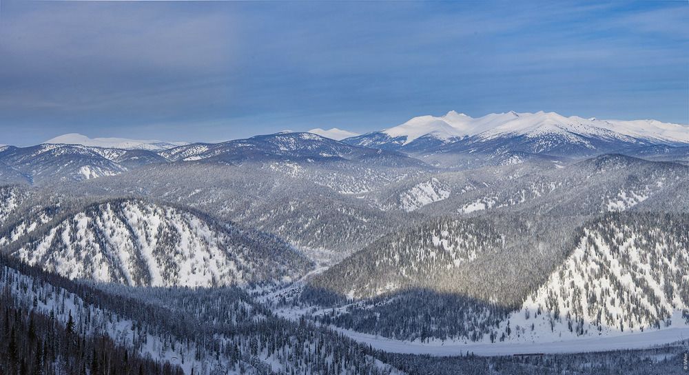 Лужба