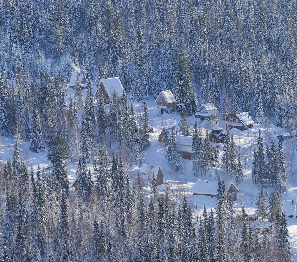 Лужба