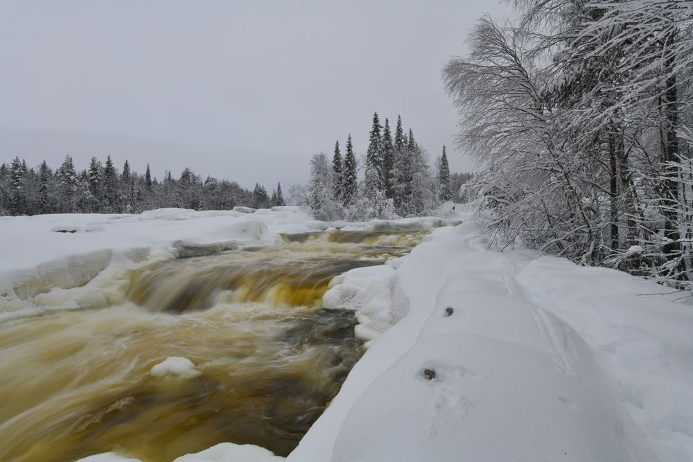 Photo 2965271