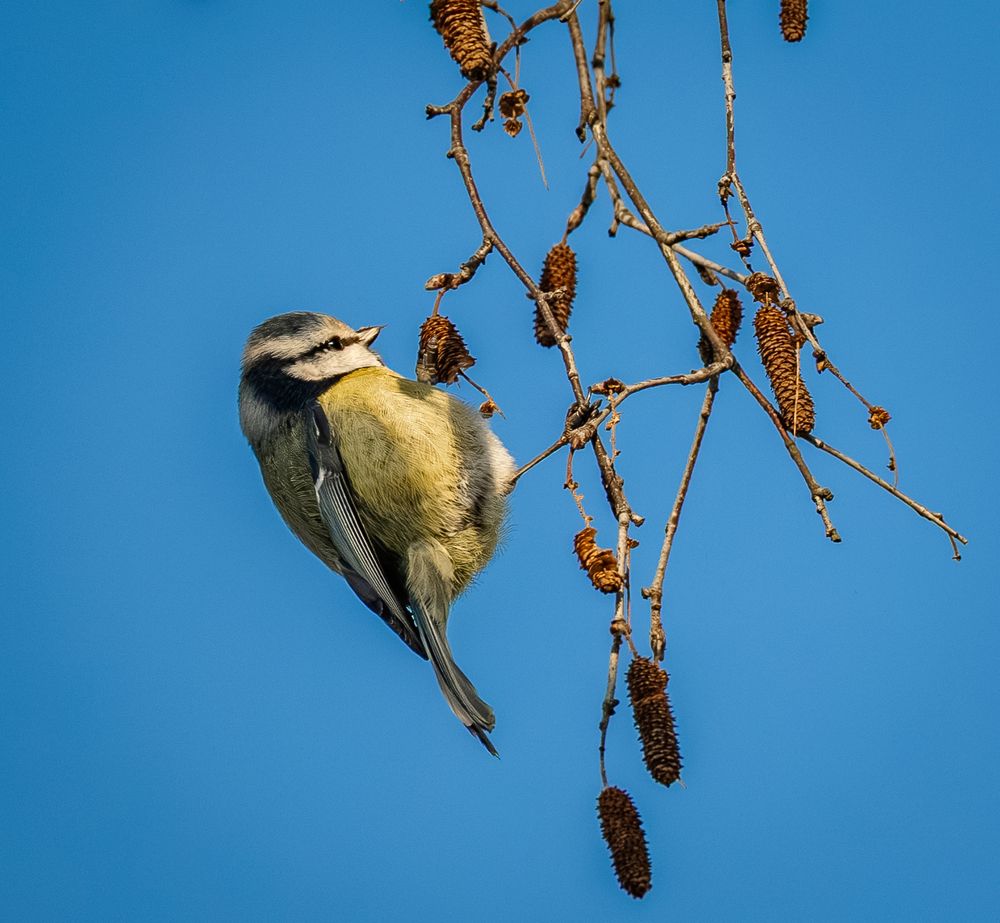 Photo 2965826