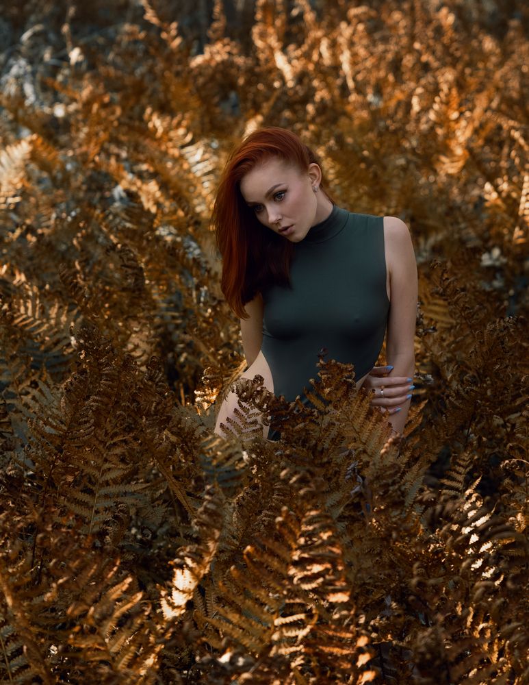Magic fern