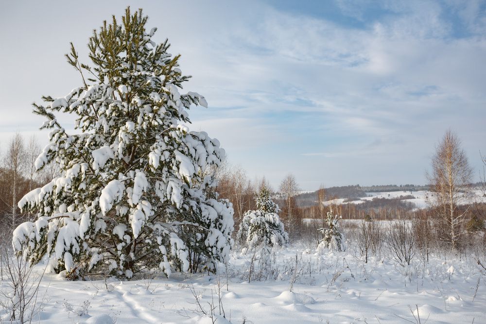 Хоровод