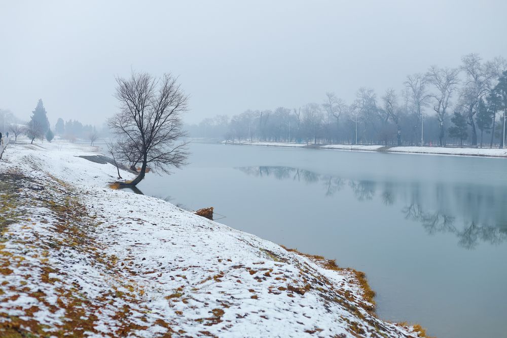 Snowy lake