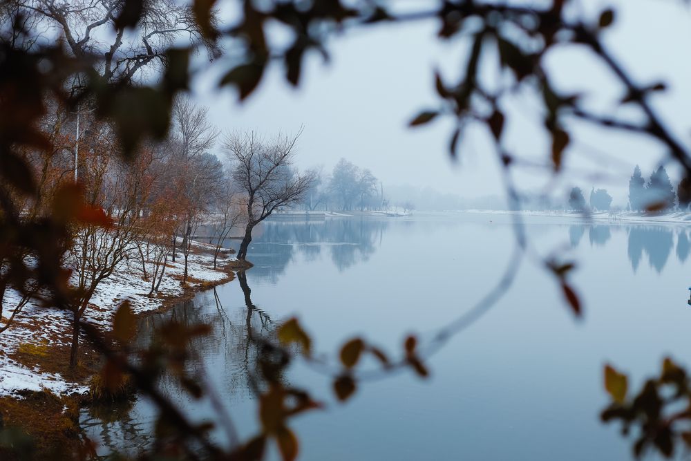 Snowy lake