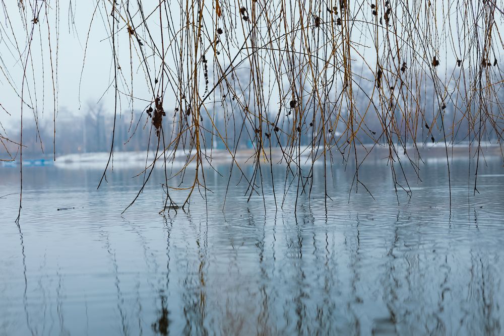 Snowy lake