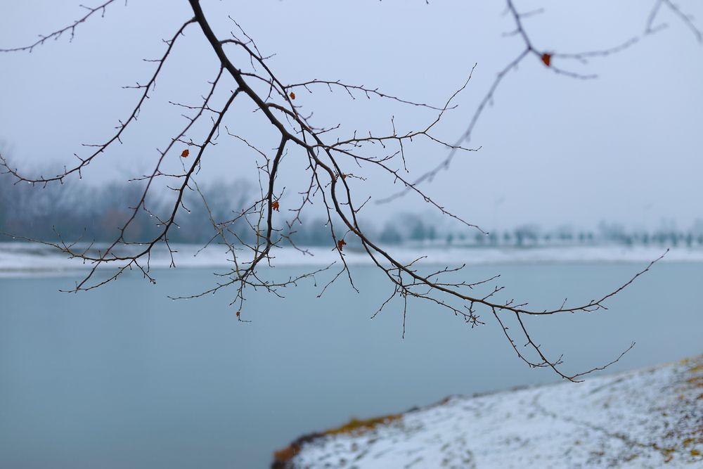 Snowy lake