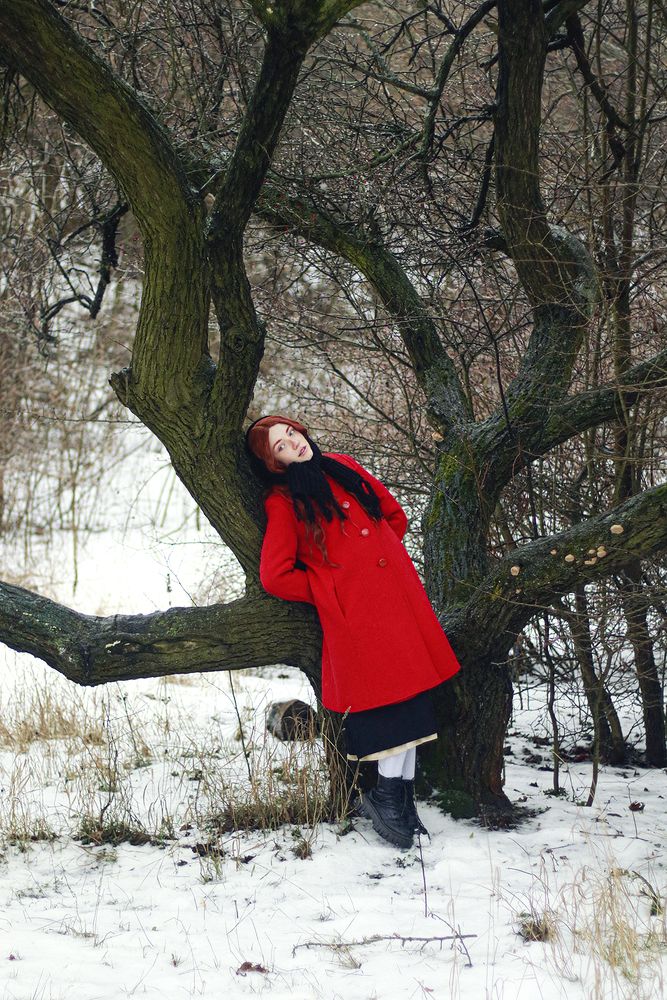 winter fairy