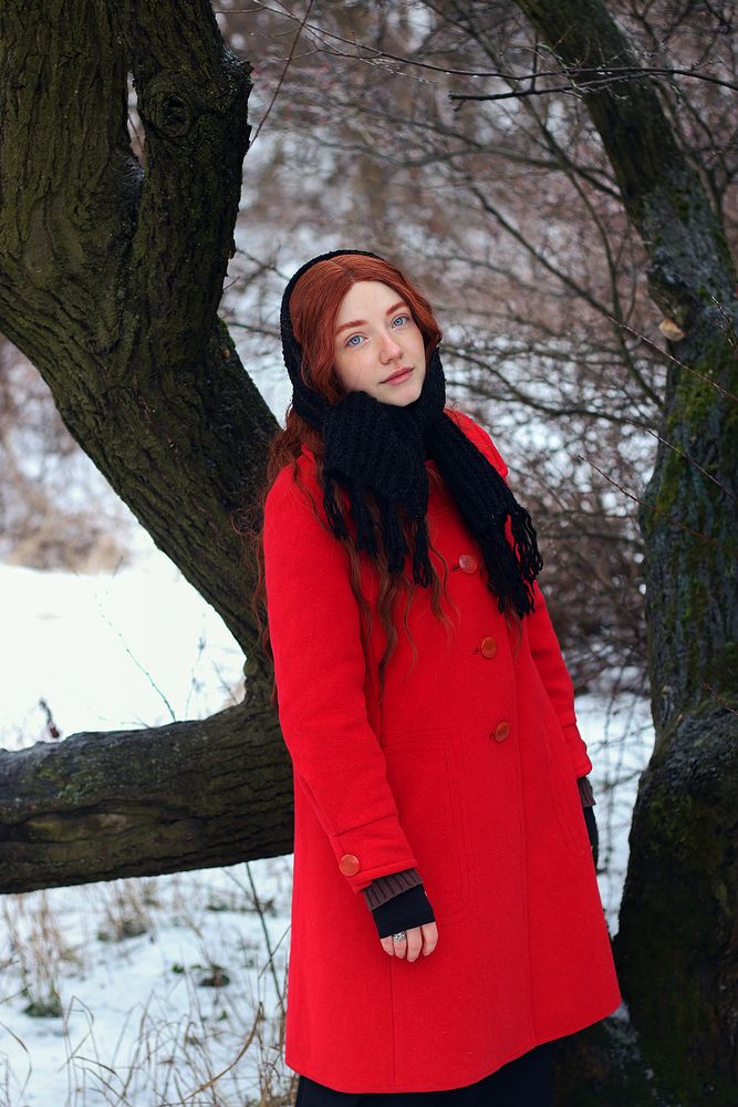 winter fairy