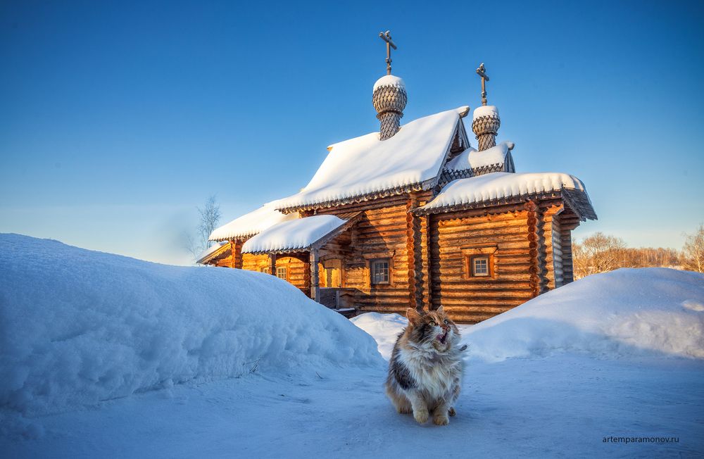 Звездная ночь