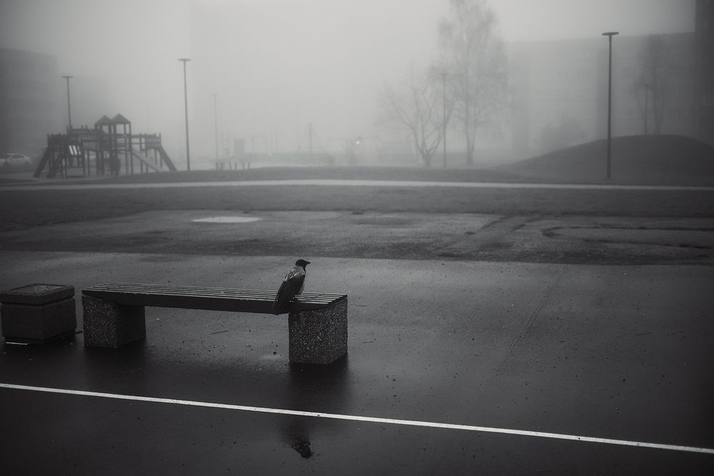 Photo 2967786