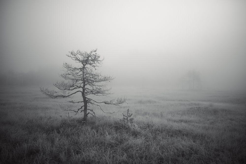 Photo 2967787