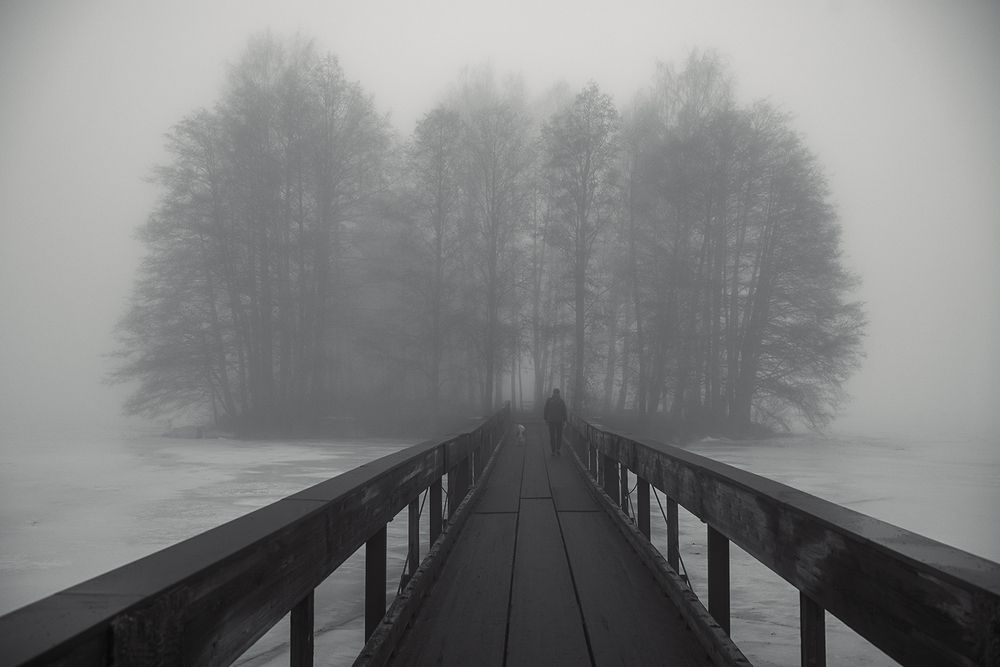 Photo 2967791