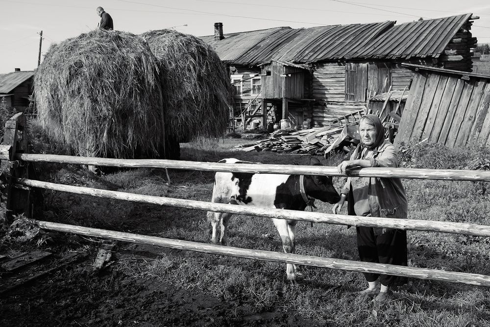 Photo 2967793