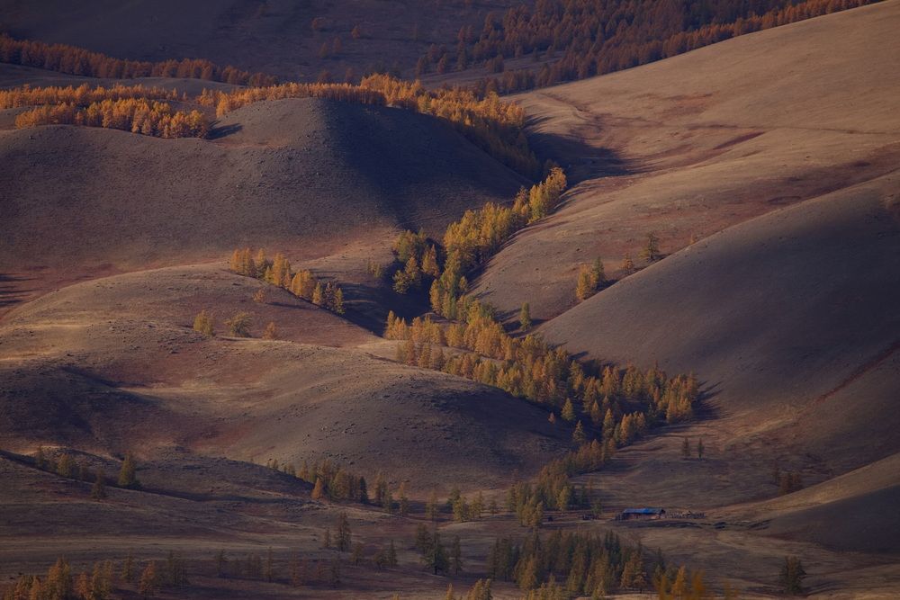 Алтайские просторы