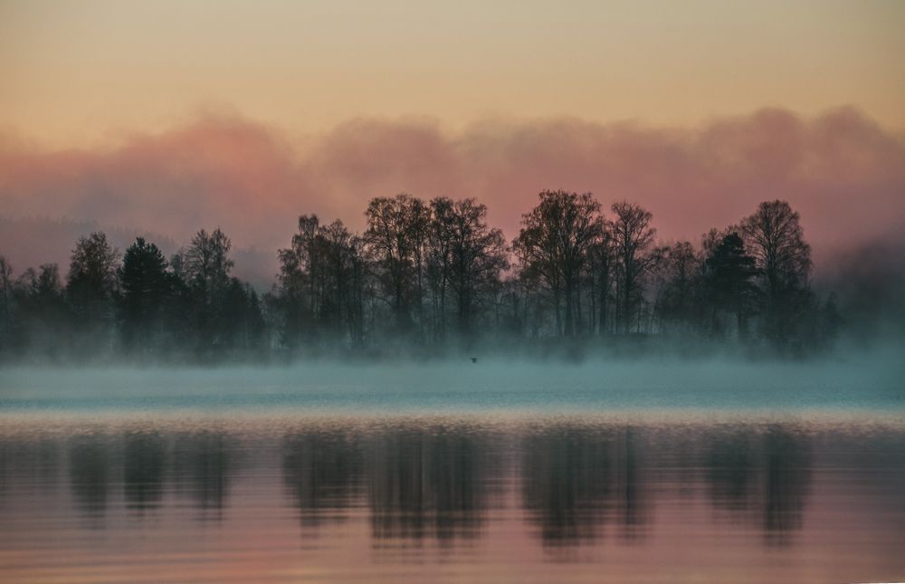 Photo 2968589