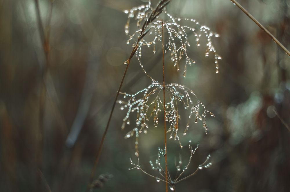 Photo 2968590