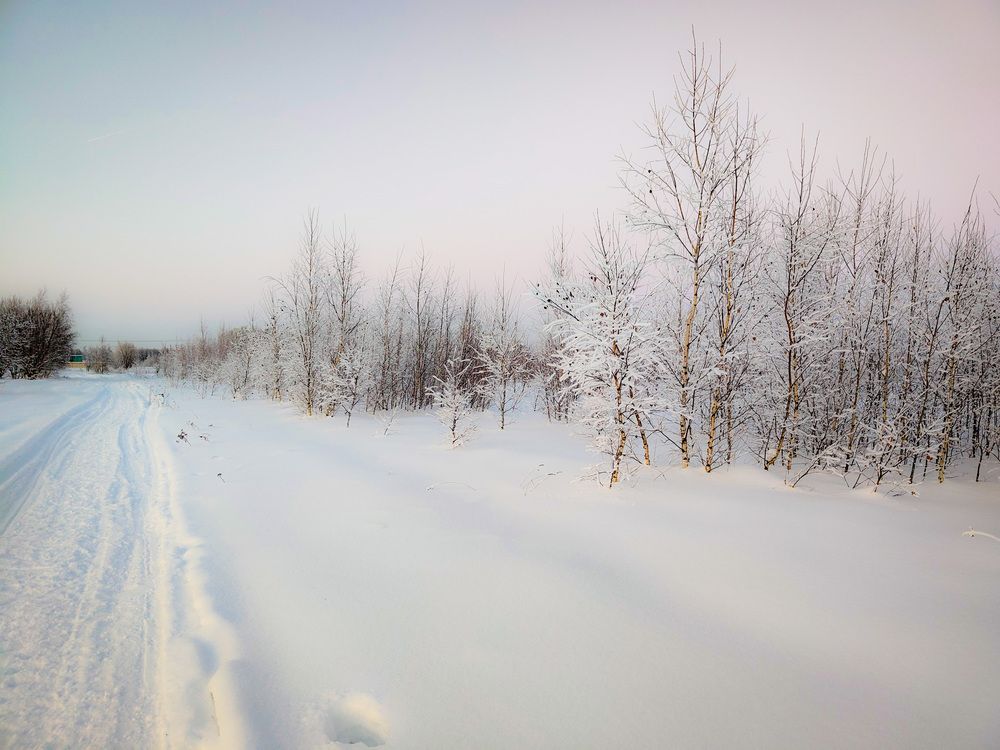 Photo 2969383
