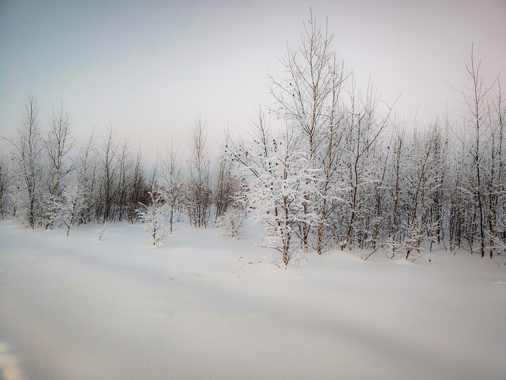 Photo 2969384