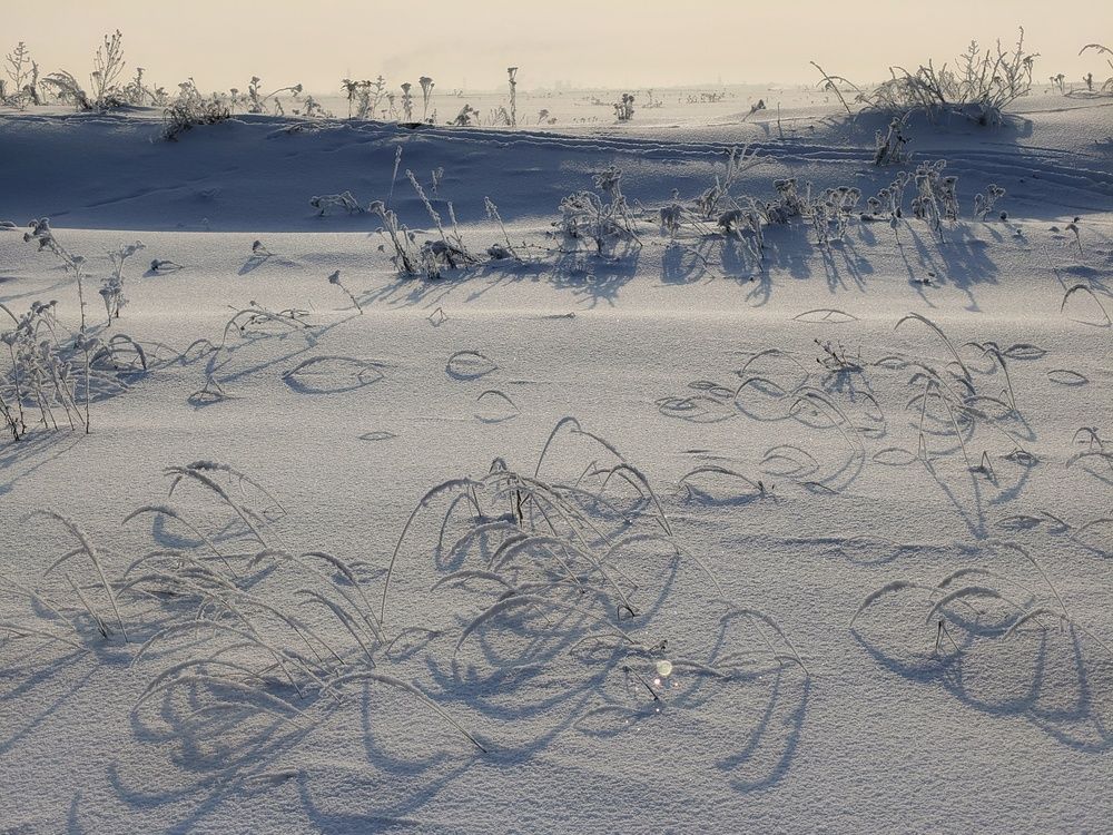 Photo 2969619