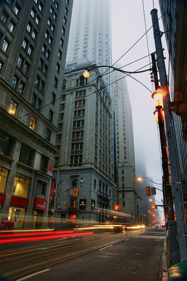 Photo 297005