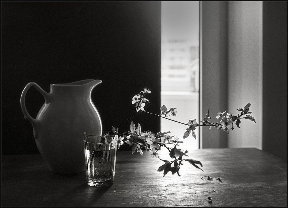 Photo 2970005