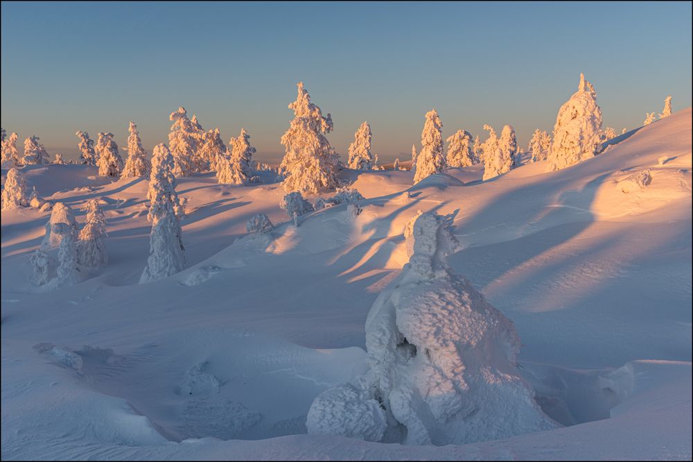 Солнце всё ниже, а цвет всё насыщеннее.
