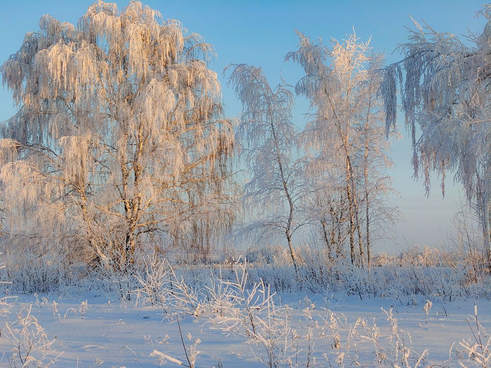 Photo 2970832
