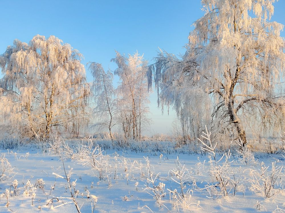 Photo 2970833