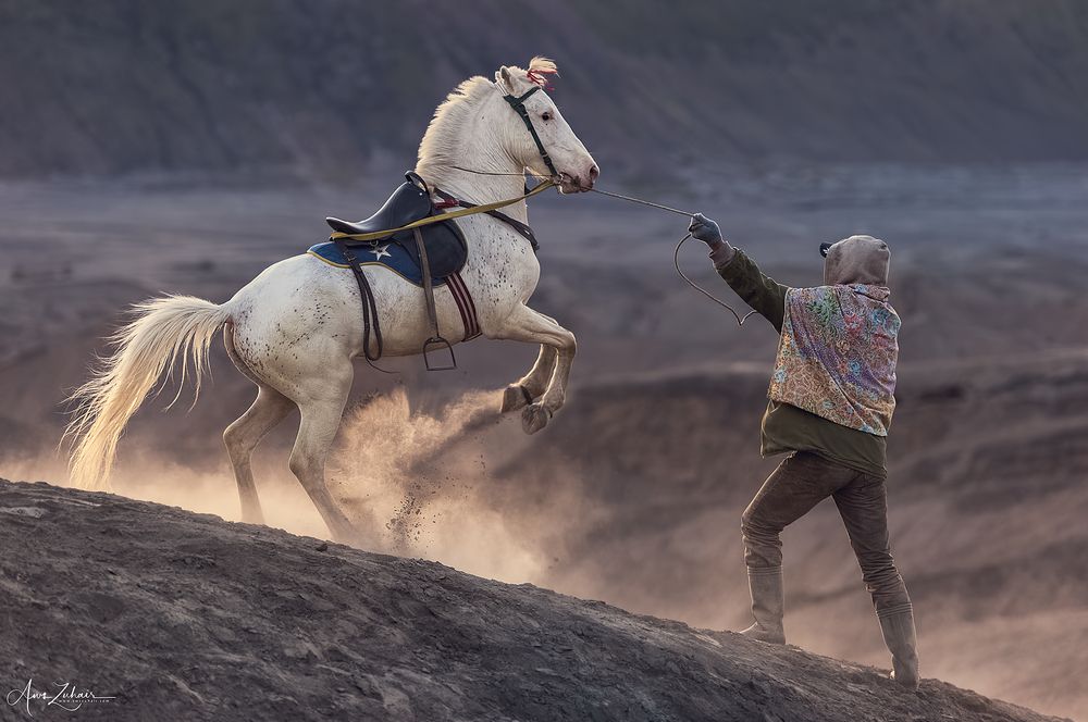 Horse Rider