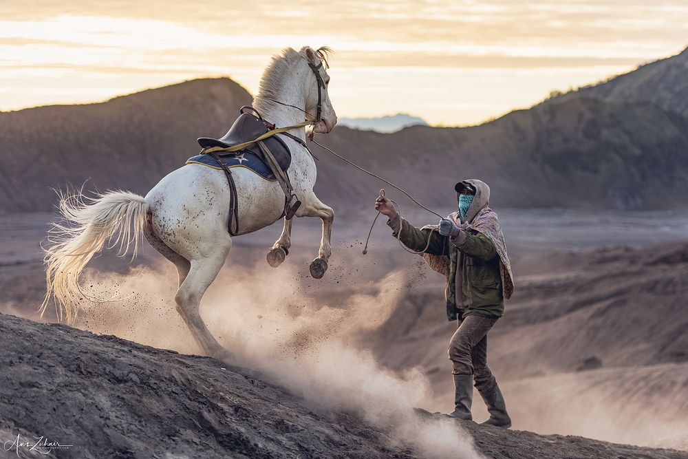 Horse Rider