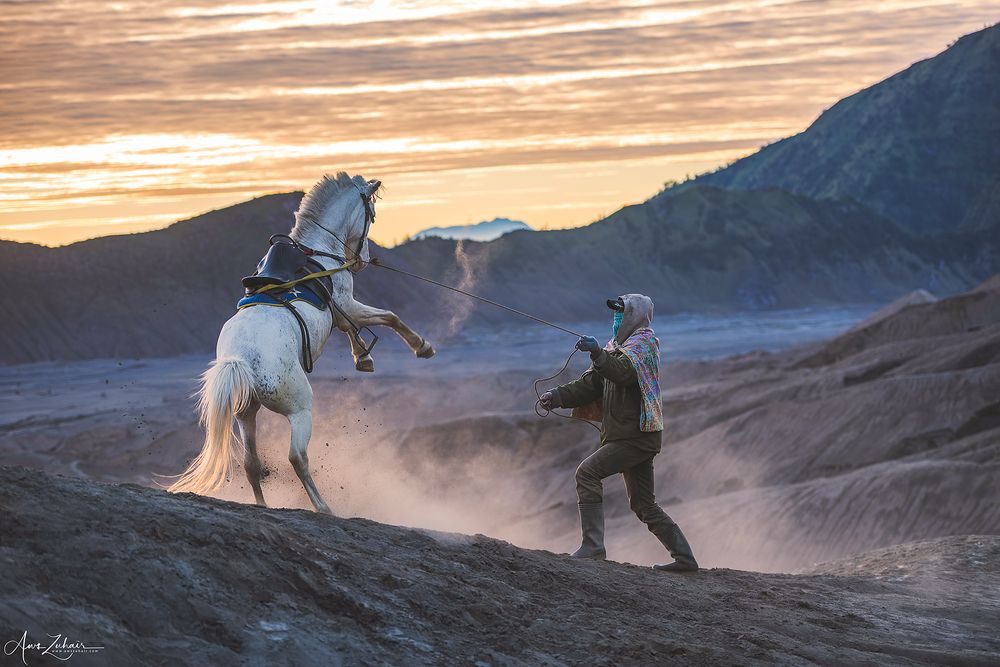Horse Rider