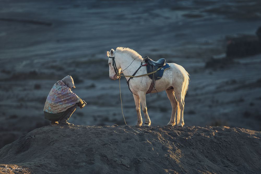 Horse Rider