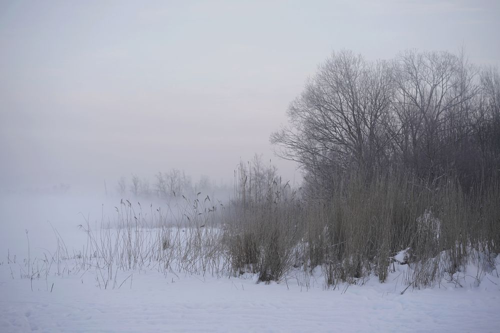 На рассвете