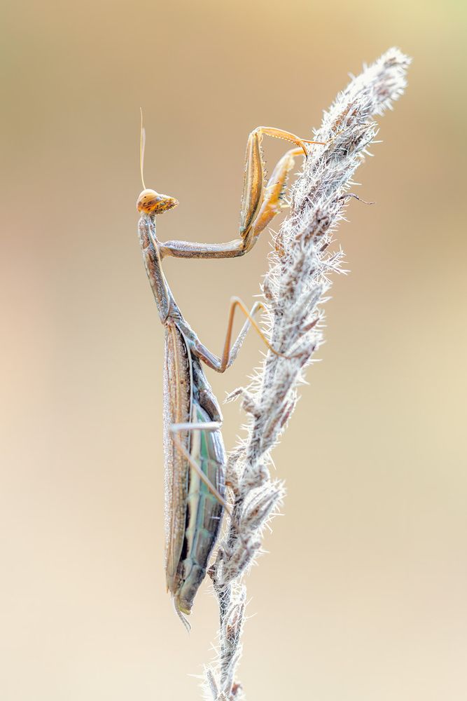 Photo 2971699