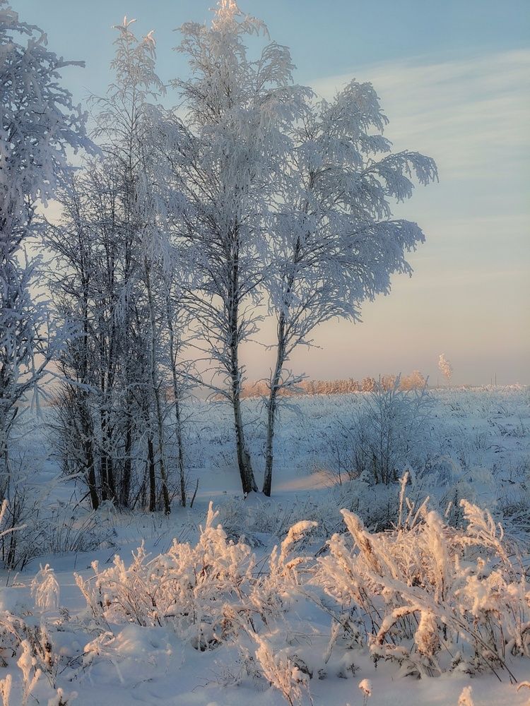 Photo 2971742